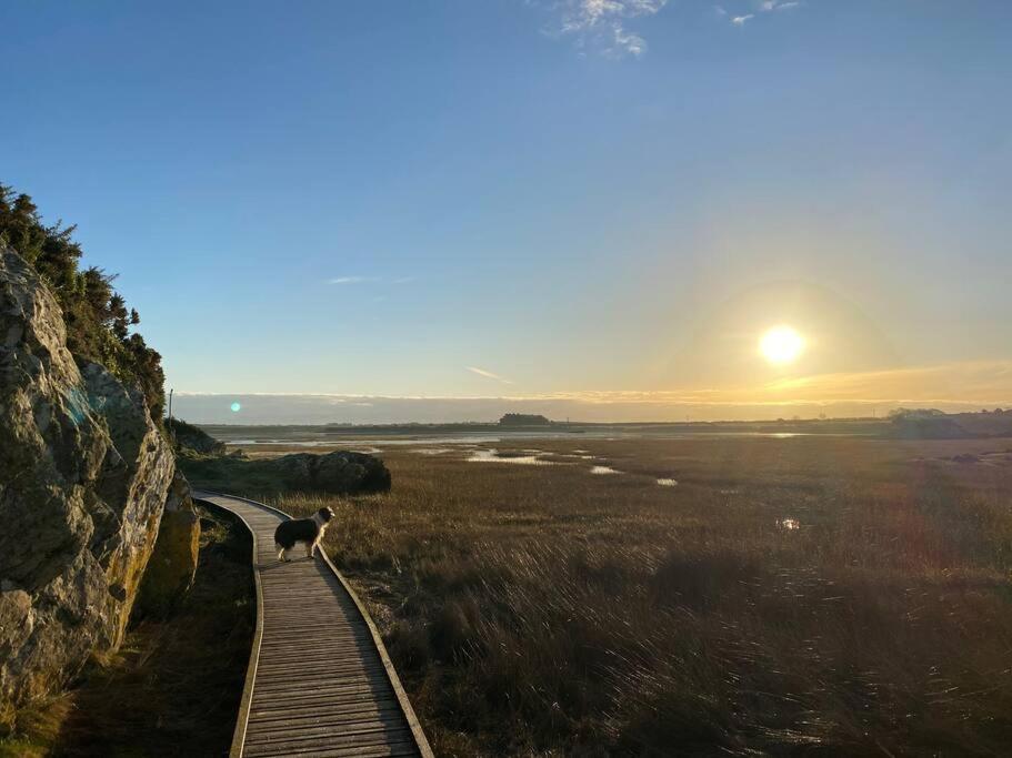Entire Guest Suite In Four Mile Bridge, Rhoscolyn Valley Dış mekan fotoğraf