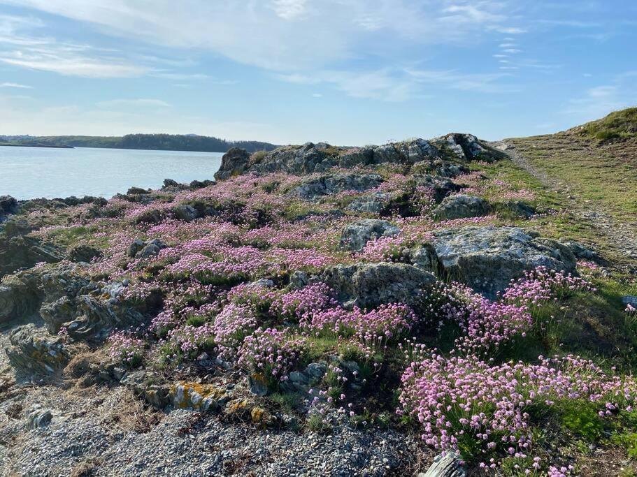 Entire Guest Suite In Four Mile Bridge, Rhoscolyn Valley Dış mekan fotoğraf